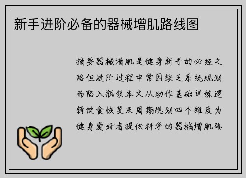 新手进阶必备的器械增肌路线图