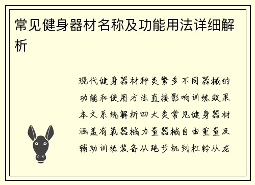 常见健身器材名称及功能用法详细解析